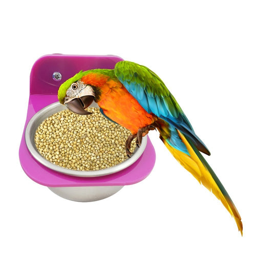 Stainless Steel Parrot Bird Feeders Food Water  Feeding Bird  Clamp
