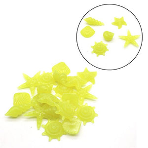 1 Bag of 10 Luminous Stones Conch Shell Luminous Stone Aquarium