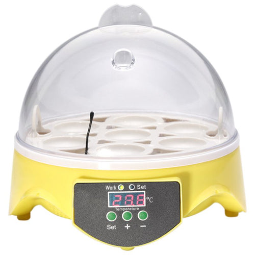 Mini 7 Egg Incubator Poultry Incubator Brooder Digital Temperature  Hatchery