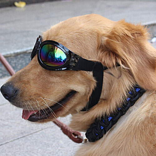 Pet Dog Adjustable UV Sunglasses Black Eye-wear Costume  Foldable