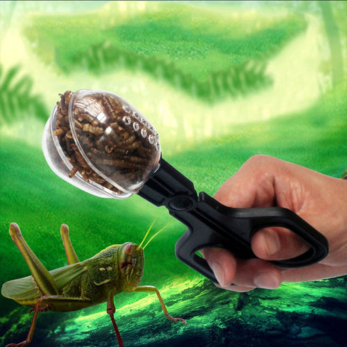 Reptile Terrarium Spider Cricket Clamp Aquarium Litter Feeding Cleaning Tool