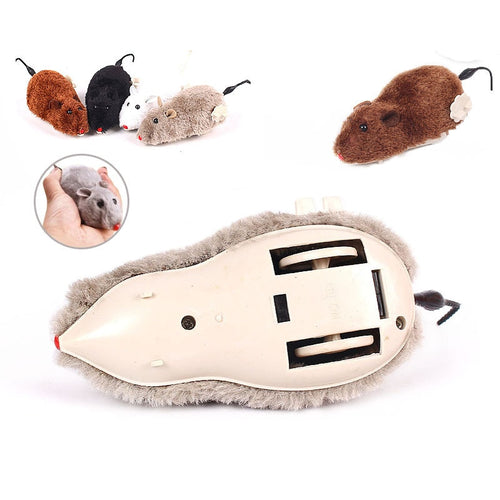 toy cat mouse cats and dogs