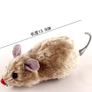 toy cat mouse cats and dogs