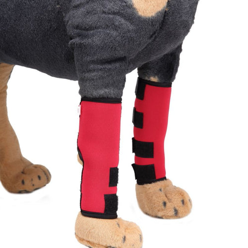 Pet Dog Protection Bandage Protects Dog Prevents Injuries and Sprain
