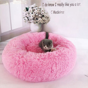 S / M / L / XL size cat, bed