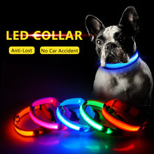 Load image into Gallery viewer, USB Charging Led Dog Collar Anti-Lost/Avoid Car Accident Collar
