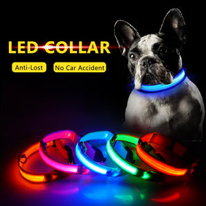 USB Charging Led Dog Collar Anti-Lost/Avoid Car Accident Collar