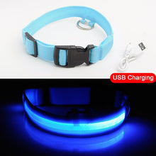 Load image into Gallery viewer, USB Charging Led Dog Collar Anti-Lost/Avoid Car Accident Collar