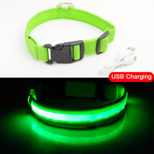 Load image into Gallery viewer, USB Charging Led Dog Collar Anti-Lost/Avoid Car Accident Collar