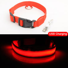 Load image into Gallery viewer, USB Charging Led Dog Collar Anti-Lost/Avoid Car Accident Collar