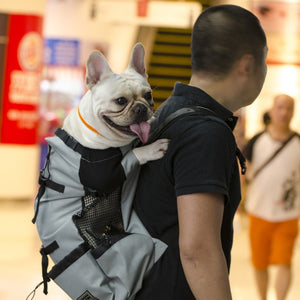 Breathable Pet Dog Carrier Bag for Large Dogs Golden Backpack Adjustable Big Dog Travel Bags