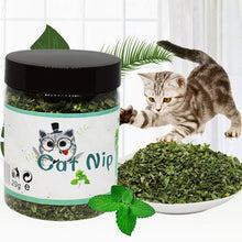 Load image into Gallery viewer, Organic 100% Natural Premium Catnip Cattle Grass 10g / 20g / 30g Menthol Flavor Funny  Healthy Safe Edible Treating