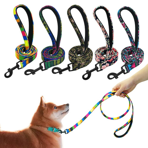 5 Color Dog Leash Lead Puppy Dog Walking Running Training Rope Leashes Rainbow Leads For Small Medium Large Dogs Strap Belt