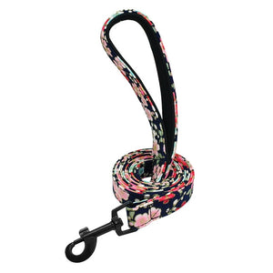 5 Color Dog Leash Lead Puppy Dog Walking Running Training Rope Leashes Rainbow Leads For Small Medium Large Dogs Strap Belt