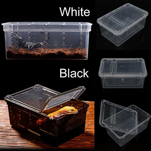 19x12.5x7.5cm Transparent Plastic Box Insect Reptile Transport Breeding Live Food Feeding Box