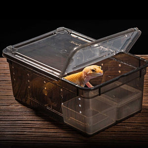 19x12.5x7.5cm Transparent Plastic Box Insect Reptile Transport Breeding Live Food Feeding Box