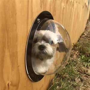 Dog Door Fence Bubble Window pets dogs cat Fence Window for Pet Peek