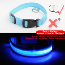 Load image into Gallery viewer, USB Charging Led Dog Collar Anti-Lost/Avoid Car Accident Collar