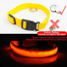 Load image into Gallery viewer, USB Charging Led Dog Collar Anti-Lost/Avoid Car Accident Collar